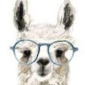 Meet your Posher, Tracey